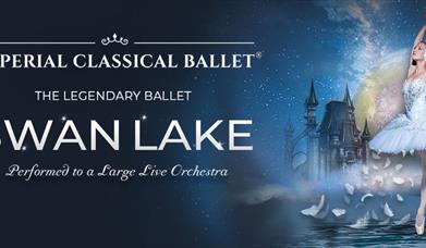 Swan Lake