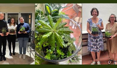 Terrarium in the middle of the photo surrounded by people who have completed the workshop holding their terrariums
