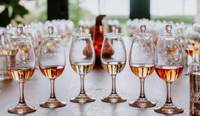 Wine glasses