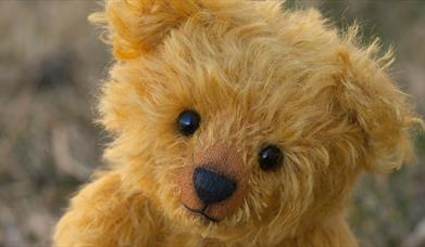 Teddy Bear