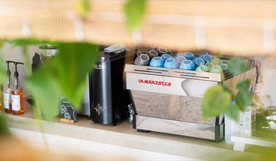 A coffee machine framed by green leaves
