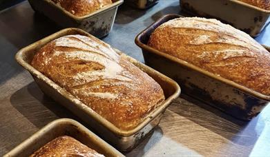 Bread