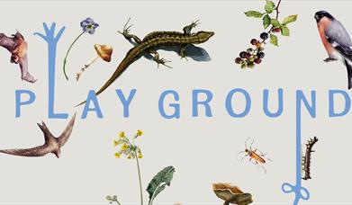 A graphic of bugs and animals surrounding the word Play Ground
