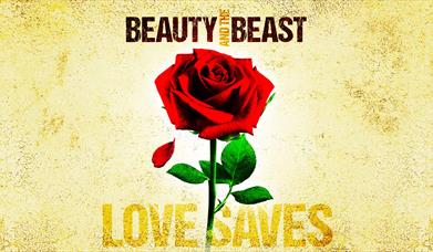 Beauty and the Beast at Cheltenham Playhouse