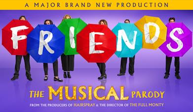 Friends! The Musical Parody