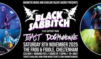 BLACK SABB***H - Live at the Frog and Fi