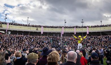 Cheltenham Festival crowds in the parade ring