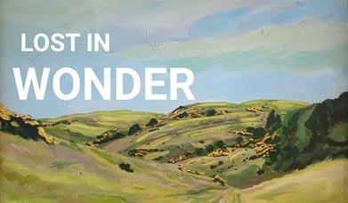 Lost in Wonder