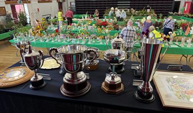 Cheltenham Horticultural Society Summer Show