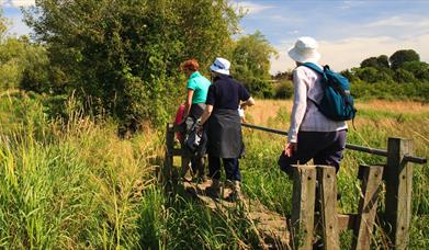 The Cotswolds Way