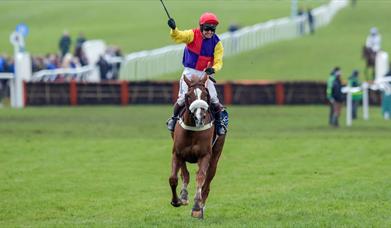 The Cheltenham Gold Cup