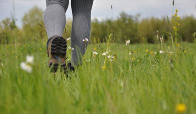 Image of legs walking through grass